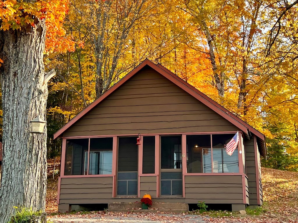 Adirondack Lake Cabins | 6204 NY-28, Indian Lake, NY 12842, USA | Phone: (518) 648-5500