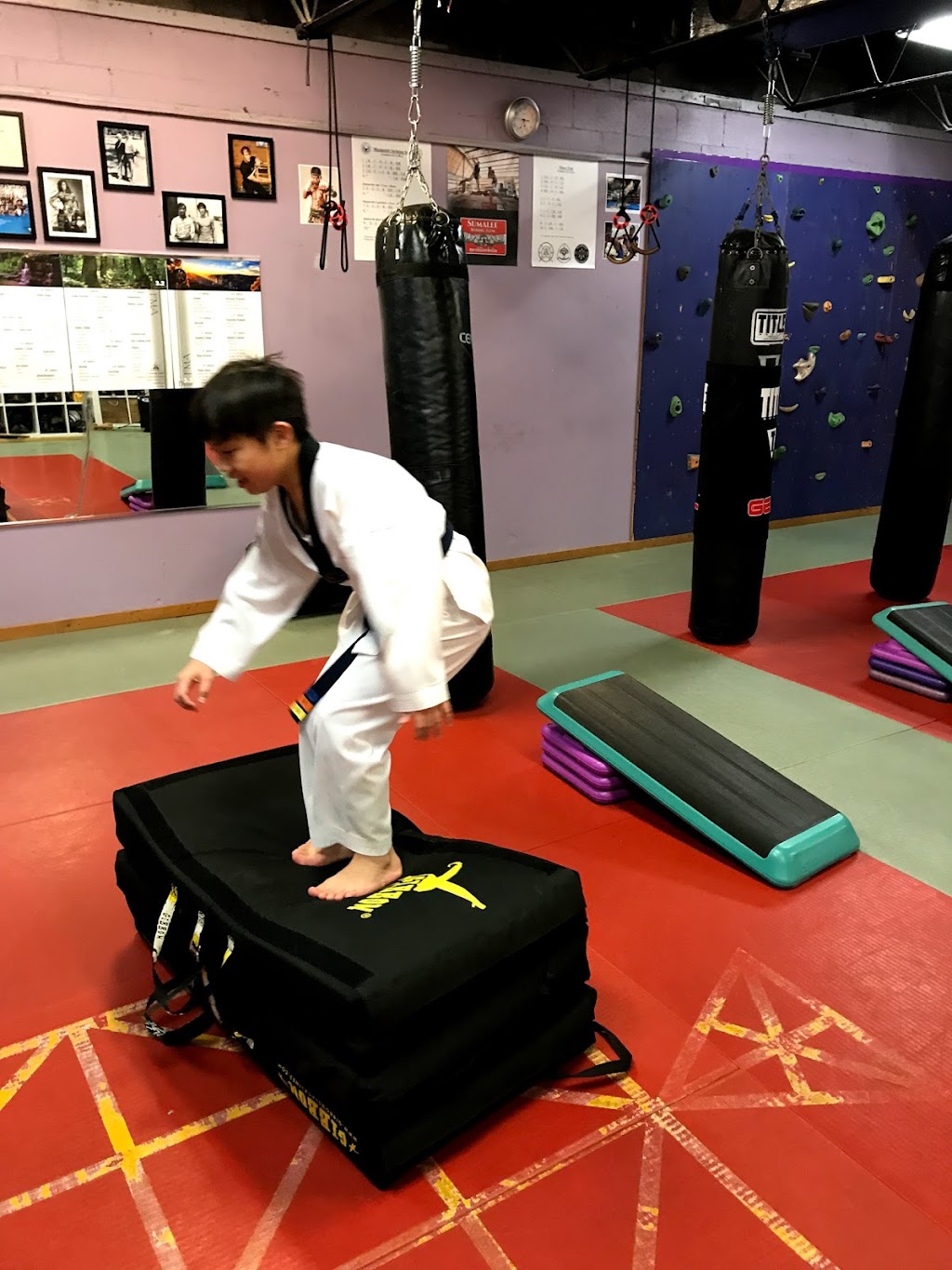 Asian Arts Center Taekwondo School | 3110 Woodman Dr, Kettering, OH 45420, USA | Phone: (937) 395-0333