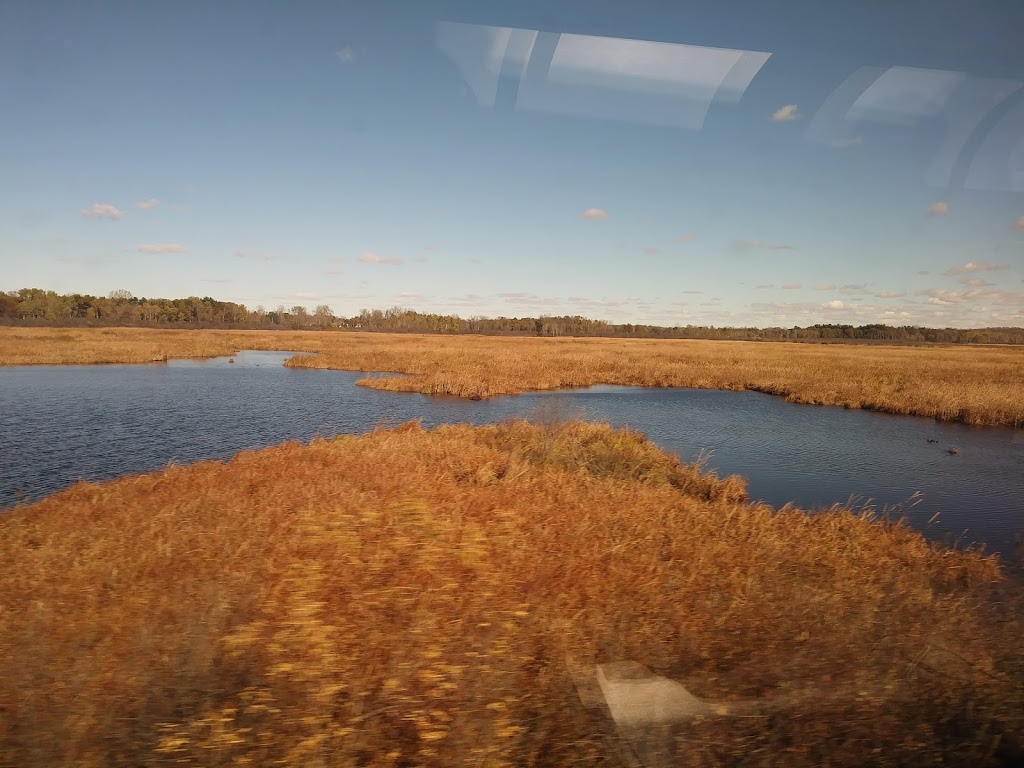 Swan Lake Sedge Meadow & Barrens State Natural Area | Pardeeville, WI 53954, USA | Phone: (888) 936-7463