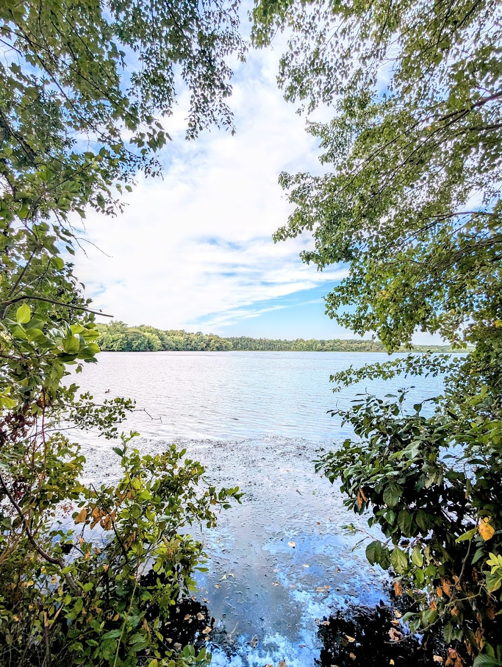 Parvin State Park Office | 701 Almond Rd, Pittsgrove, NJ 08318, USA | Phone: (856) 358-8616