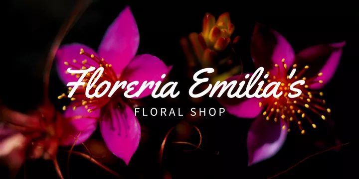 Floreria Emilias | Calle Eva Samano 1802, Reforma Urbana, 88179 Nuevo Laredo, Tamps., Mexico | Phone: 867 754 0702