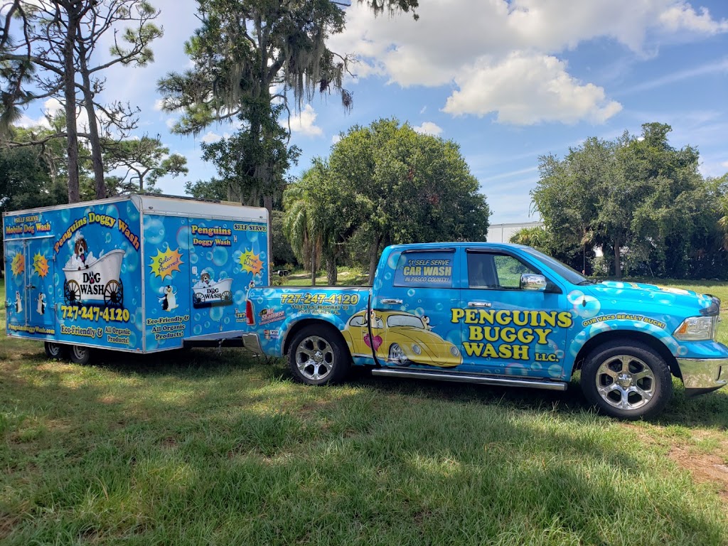 Penguins Buggy Wash | 11537 US-19, Port Richey, FL 34668, USA | Phone: (727) 247-4120