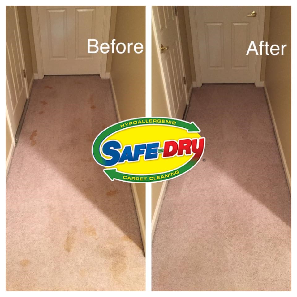 Safe-Dry Carpet Cleaning of Pelham | 120 Applegate Ct, Pelham, AL 35124, USA | Phone: (205) 619-2774