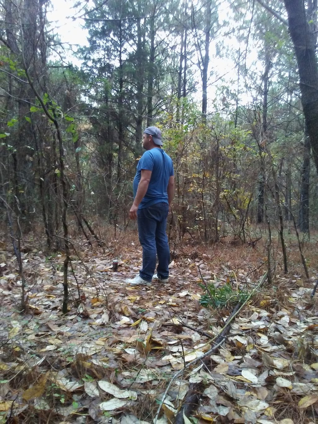 Leake Mounds Interpretive Trail | 1700 West Ave, Cartersville, GA 30120, USA | Phone: (770) 387-5626