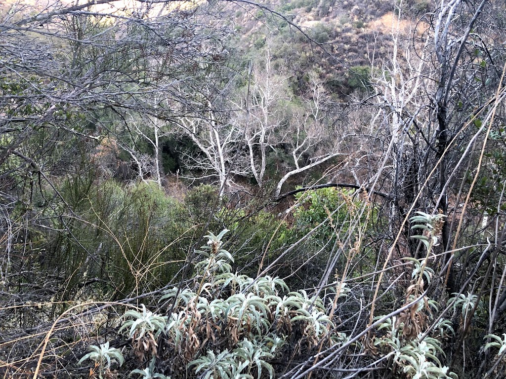 Tenaja Trailhead | Forest Rte 7501 Tenaja Trail (5W07, Murrieta, CA 92562, USA | Phone: (951) 736-1811