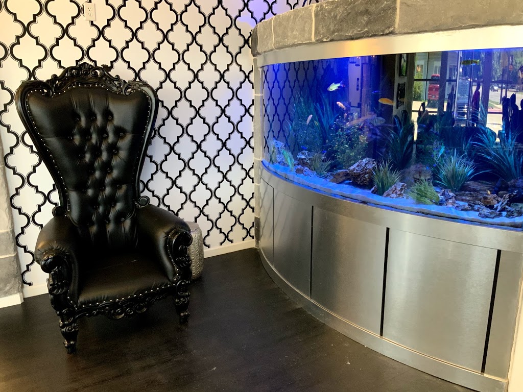 Aquarium Headquarters Maintenance, Service & Luxury Aquarium Installation Co. | 1671 Riverview Dr, The Colony, TX 75056, USA | Phone: (972) 786-3350