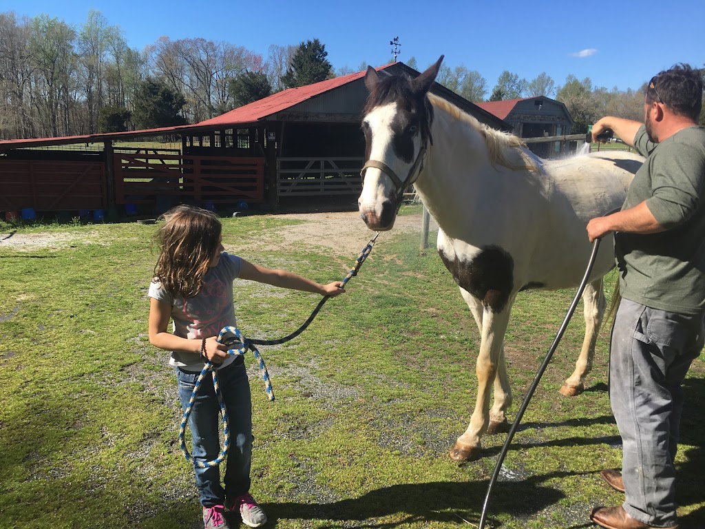 Routh Horse Ranch LLC | 3113 Routh Rd, Franklinville, NC 27248 | Phone: (336) 824-2670