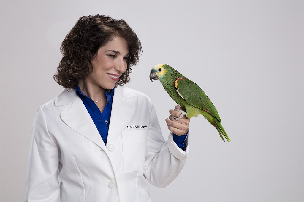 LAURIE HESS DVM - EXOTIC PET VET | 709 Bedford Rd, Bedford Hills, NY 10507 | Phone: (914) 864-1414