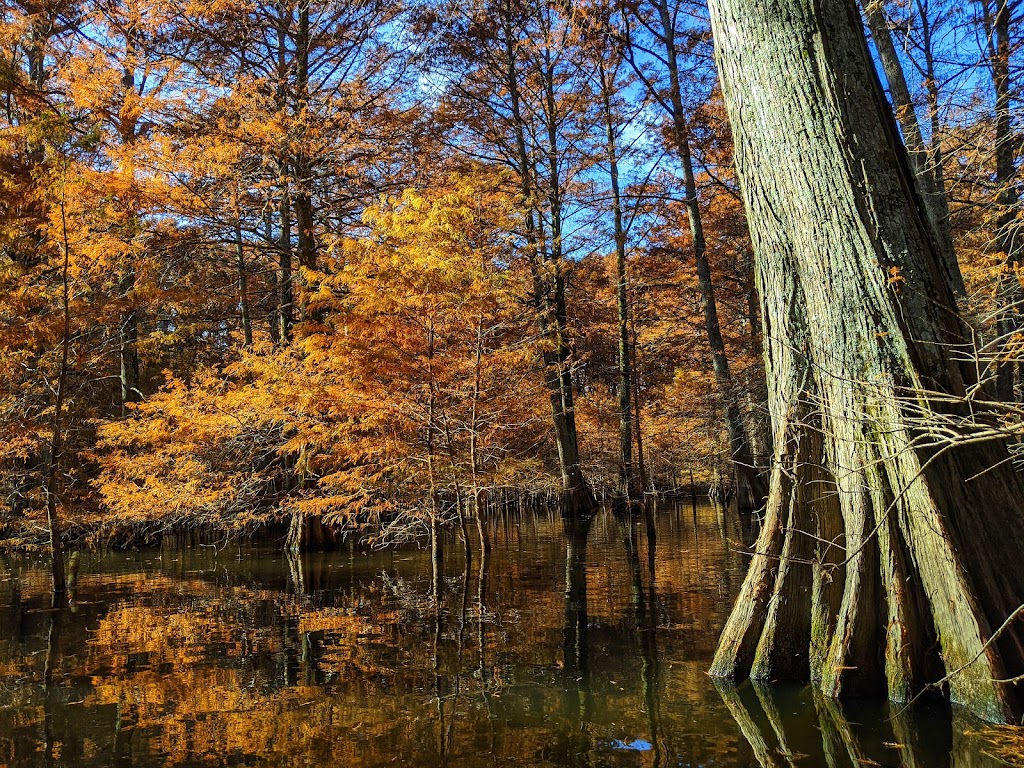 Wapanocca National Wildlife Refuge | 178 Hammond Ave, Turrell, AR 72384, USA | Phone: (870) 343-2595