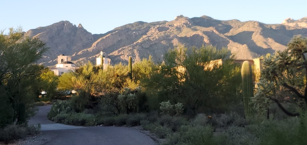 St. Thomas the Apostle Roman Catholic Parish | 5150 N Valley View Rd, Tucson, AZ 85718, USA | Phone: (520) 577-8780