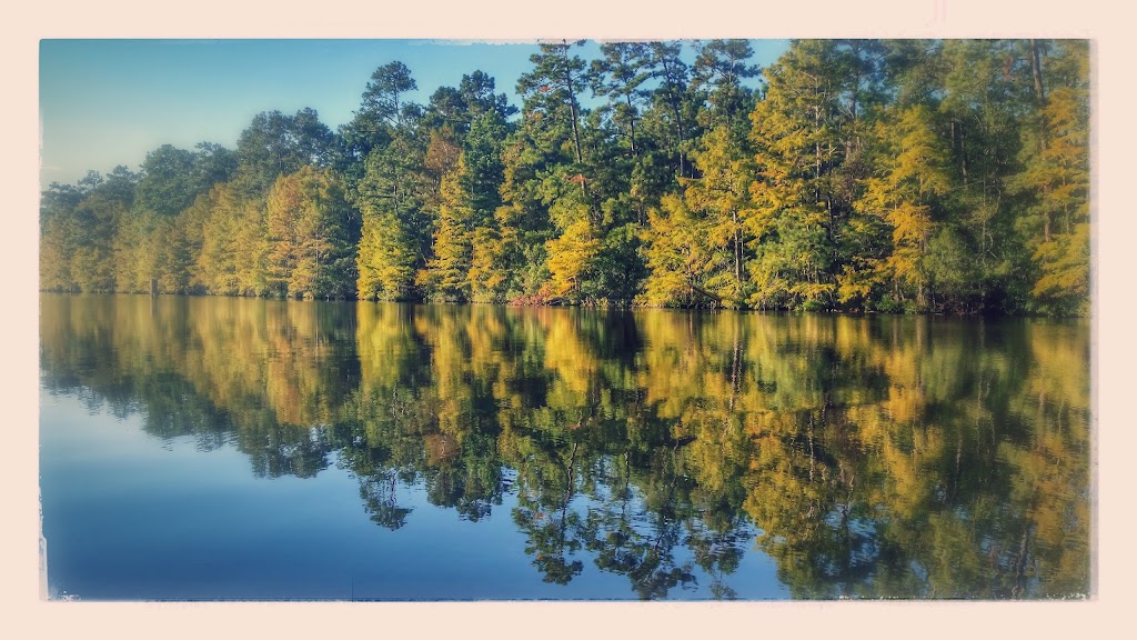 Bogue Chitto National Wildlife Refuge | Lock 1 Rd, Pearl River, LA 70452, USA | Phone: (985) 882-2000