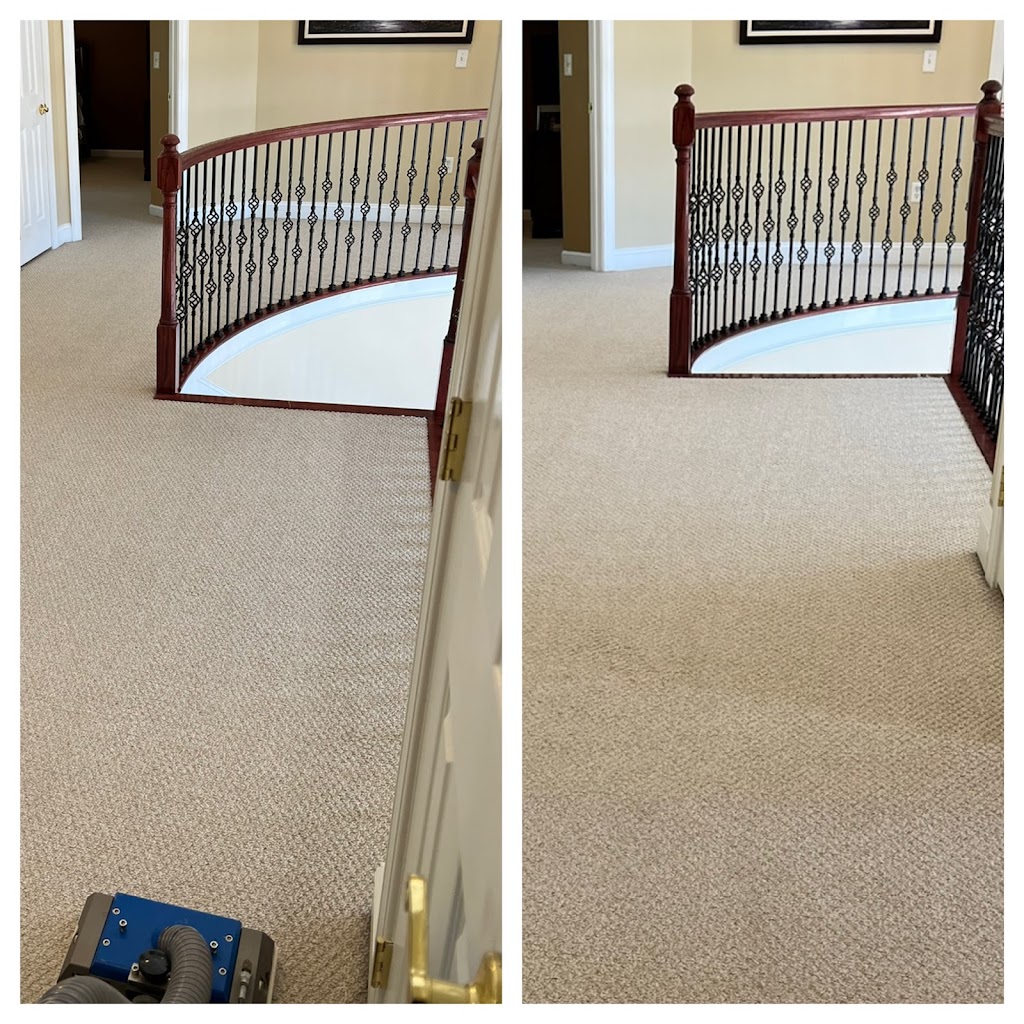 Quality Carpet & Tile Cleaning LLC | 22 Roosevelt Ave, Morganville, NJ 07751, USA | Phone: (732) 778-6241