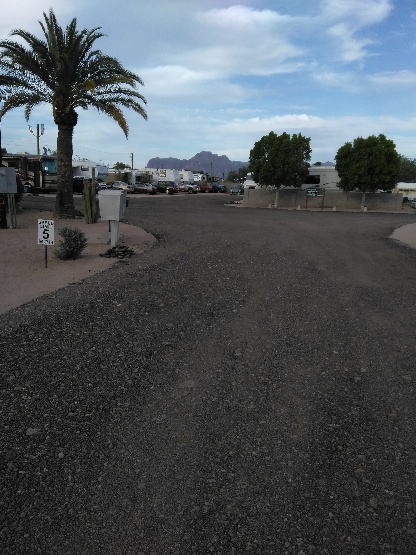 Buddys RV Park | 1665 S Meridian Rd, Apache Junction, AZ 85120, USA | Phone: (480) 625-1546