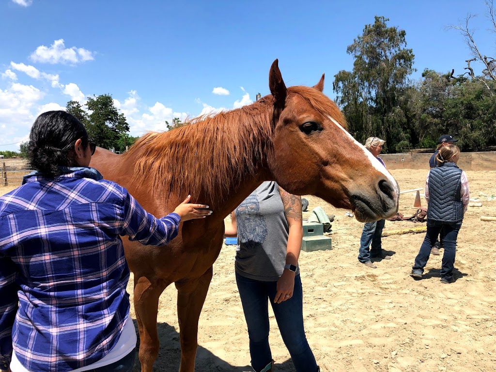 Circle T Ranch | 20010 Fargo Ave, Lemoore, CA 93245, USA | Phone: (559) 288-9537