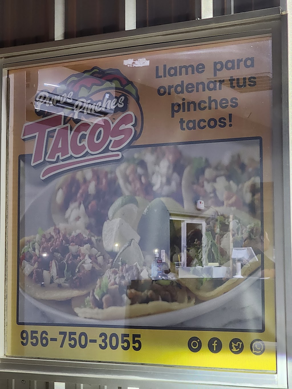 Puros Pinches Tacos | 1003 TX-16, Zapata, TX 78076, USA | Phone: (956) 750-3055