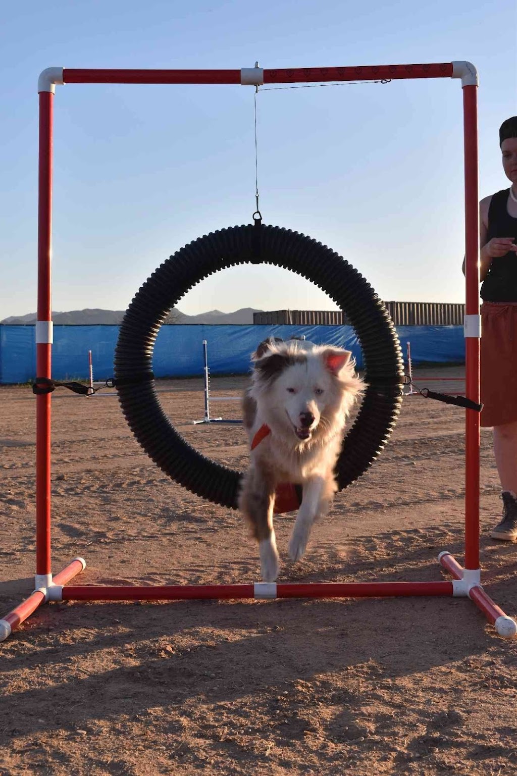 Legend Acres Agility Course Dog Park | 25038 N 195th Ave, Wittmann, AZ 85361, USA | Phone: (931) 516-3064