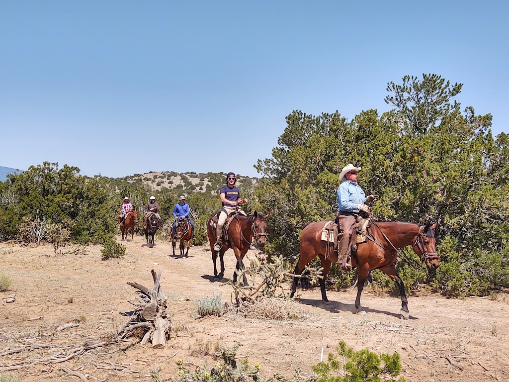 Turquoise Trail Pleasure Riding | 1511 NM-14, Golden, NM 87047 | Phone: (505) 280-1319