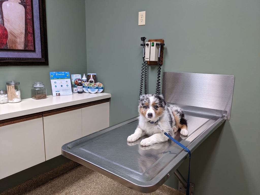 Hunting Ridge Animal Hospital | 6630 Ridge Rd, Sharon Center, OH 44274 | Phone: (330) 239-2777