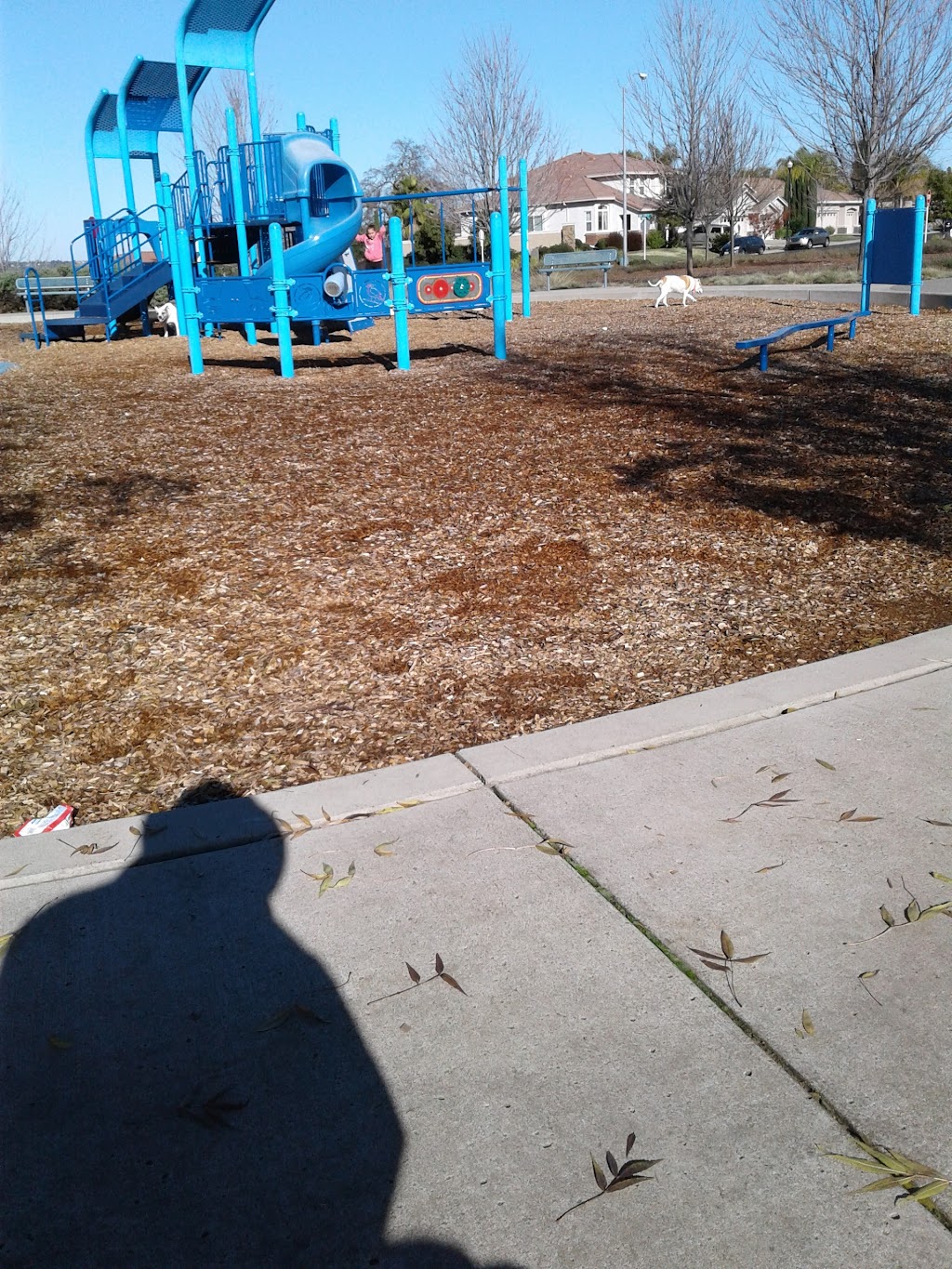 George Goto Park | 1851 Oak Crest Dr, Roseville, CA 95661, USA | Phone: (916) 774-5242 George Goto Park | 1851 Oak Crest Dr, Roseville, CA 95661, USA | Phone: (916) 774-5242