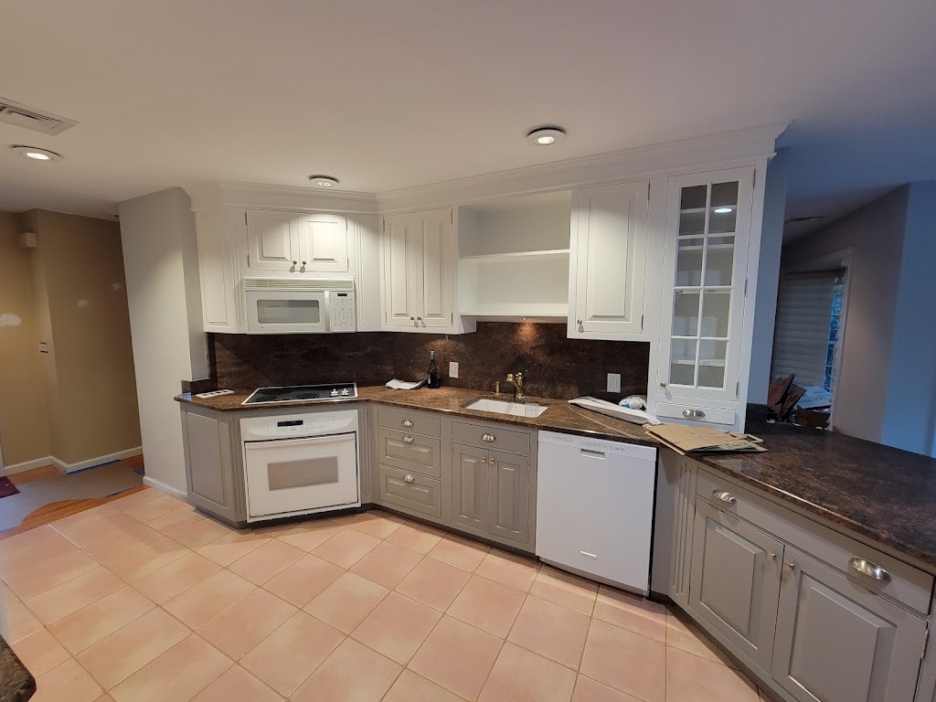 Rachel Painting | 13 Desmond Pl, Hicksville, NY 11801, USA | Phone: (917) 951-2247