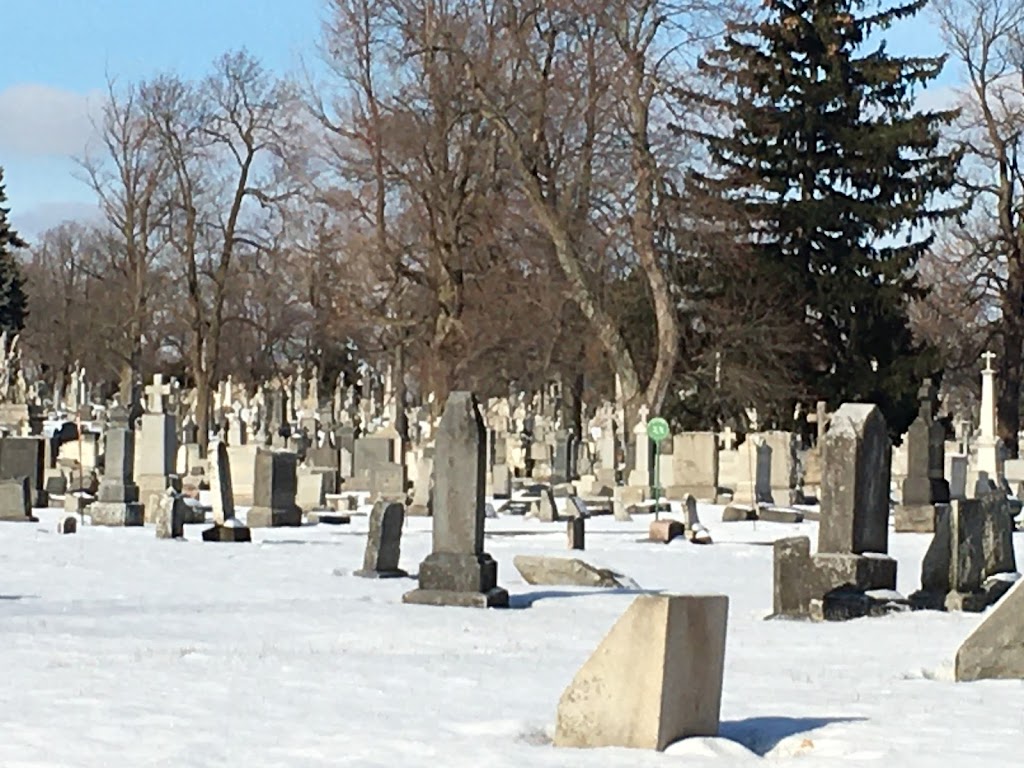 Mount Calvary Cemetery Group | 800 Pine Ridge Heritage Blvd, Cheektowaga, NY 14225, USA | Phone: (716) 892-6600