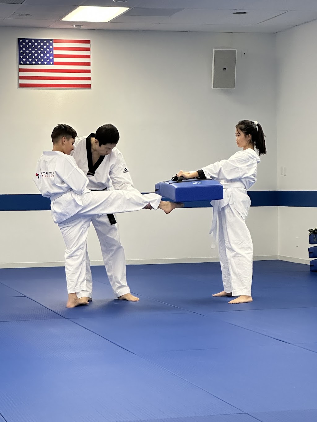 World Class Tae Kwon Do | 24142 Lyons Ave, Santa Clarita, CA 91321, USA | Phone: (661) 593-0110