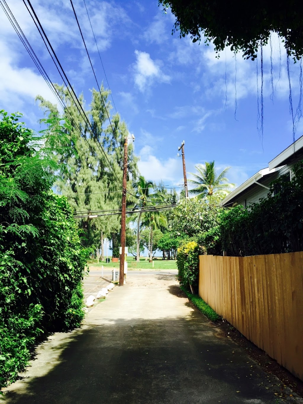 AloHawaii Properties by the Sea | 481 Kawailoa Rd A1, Kailua, HI 96734, USA | Phone: (808) 261-2000