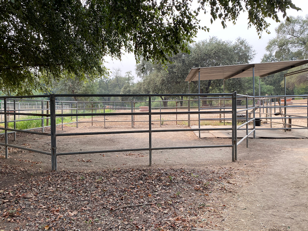 Lakeside Equestrian Center | 3635 Auburn Folsom Rd, Loomis, CA 95650, USA | Phone: (916) 652-2197