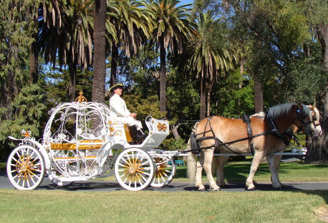 Fancy Ferriage by Horse & Carriage | 3900 Brown Rd, Oakley, CA 94561, USA | Phone: (925) 679-9412