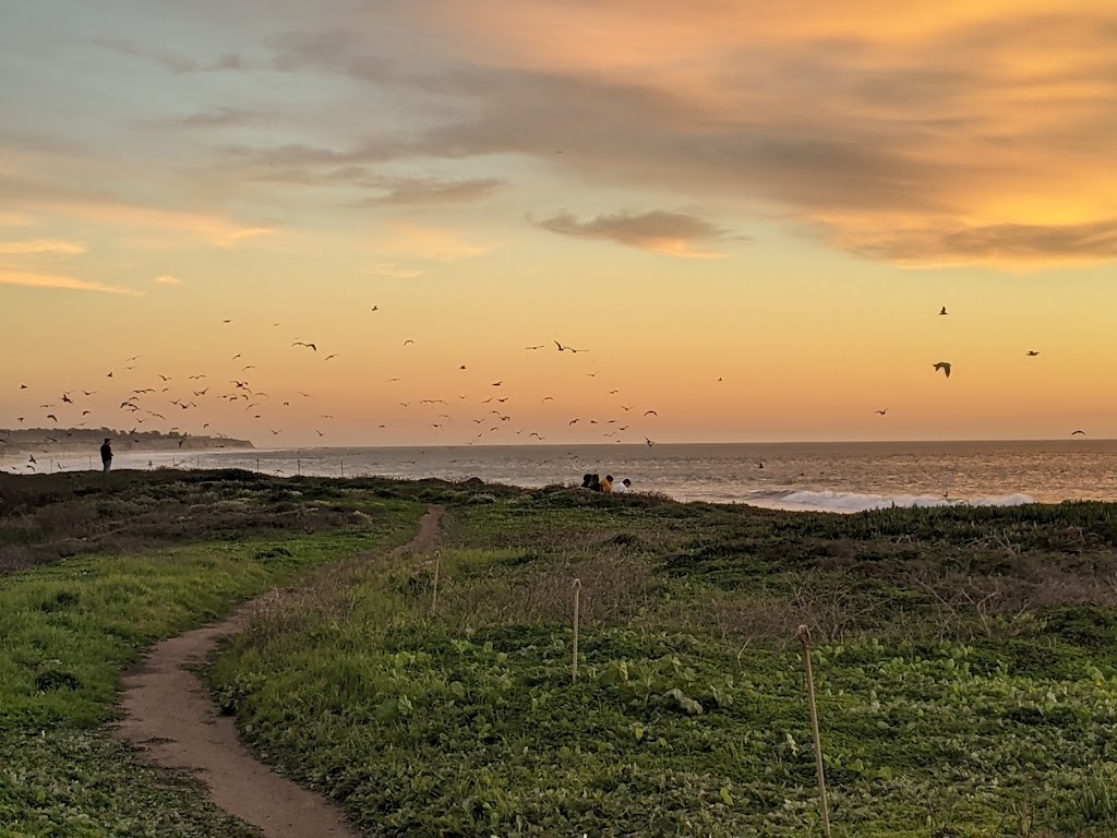 Venice Beach - Half Moon Bay State Beach | 401 Venice Blvd, Half Moon Bay, CA 94019, USA | Phone: (650) 726-8819