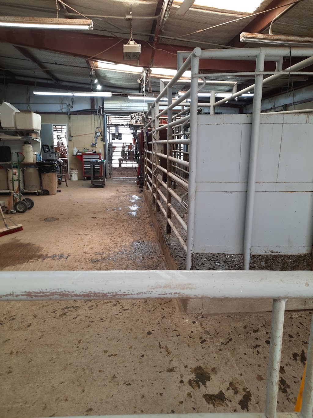 Wills Point Veterinary Clinic | 1209 W Park Dr, Wills Point, TX 75169, USA | Phone: (903) 873-9132