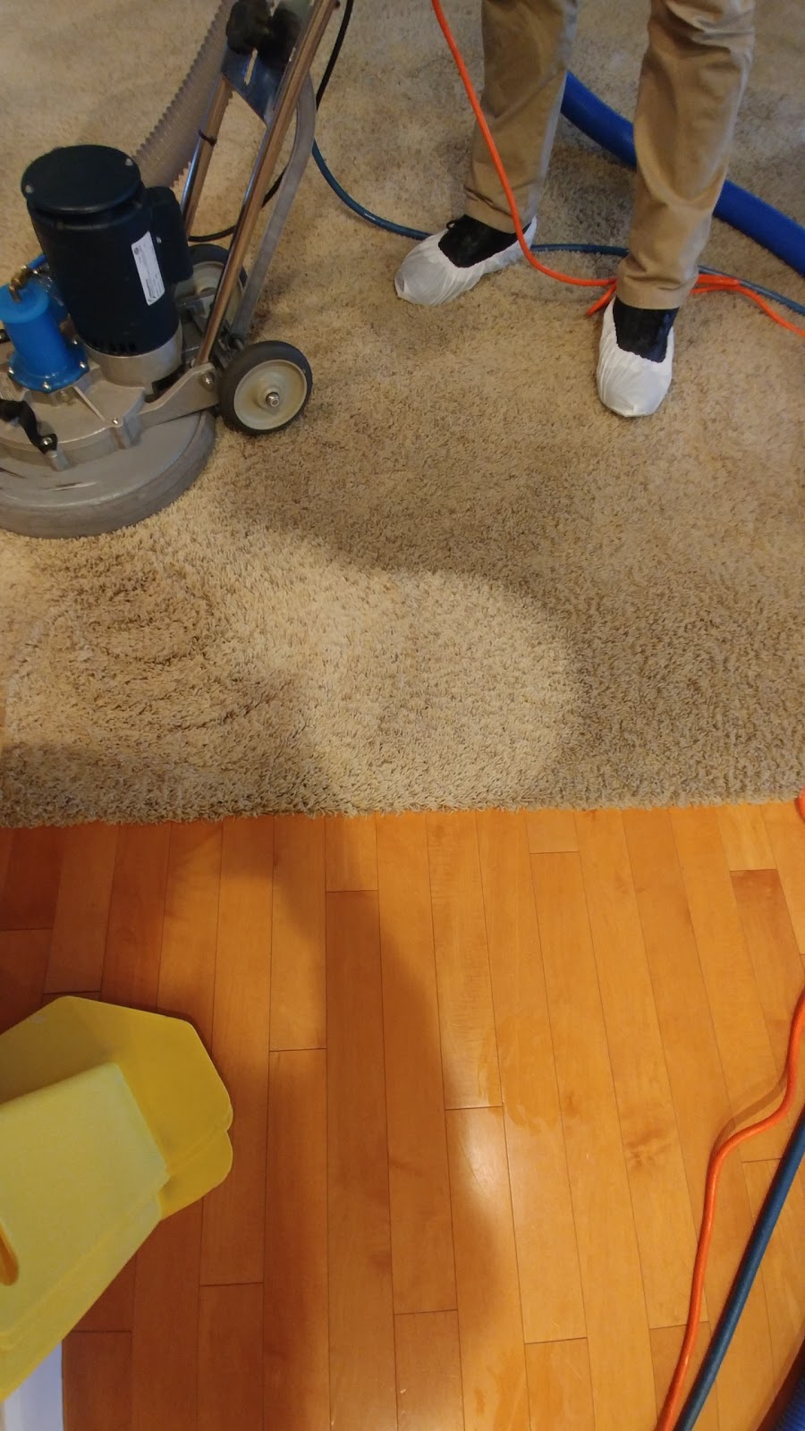 The Rug Specialists | 8848 Madison Ave Suite A, Fair Oaks, CA 95628, USA | Phone: (916) 348-7018