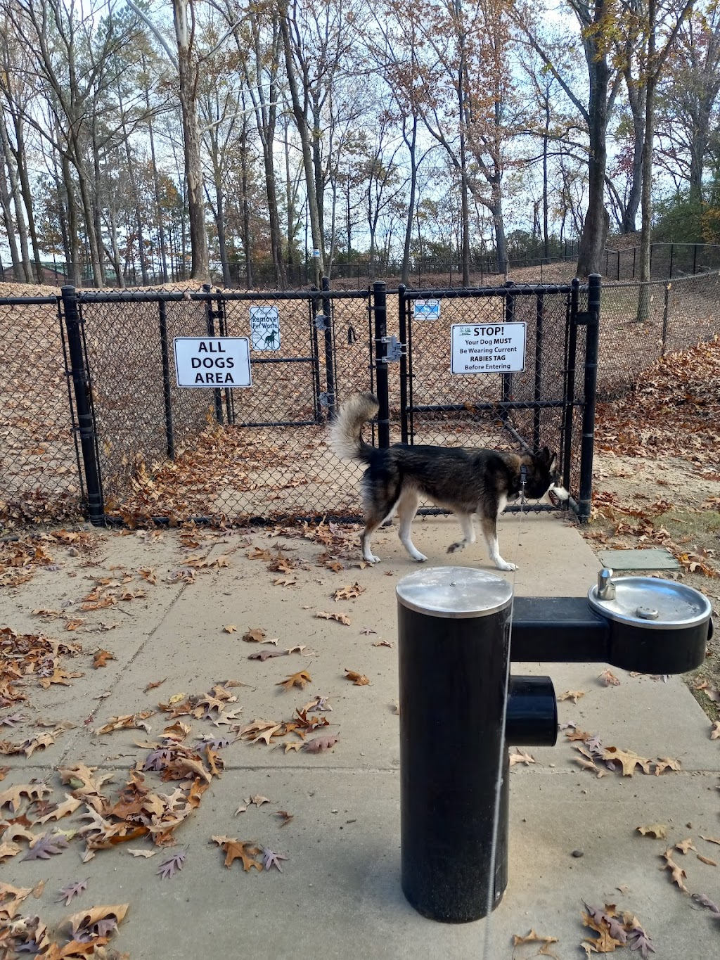 Olive Bark Dog Park | 8820-8840 City Park Dr, Olive Branch, MS 38654, USA | Phone: (662) 892-9200