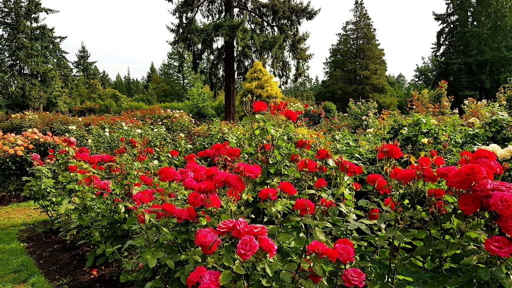 Shakespeare Garden | SW Sherwood Blvd, Portland, OR 97205, USA | Phone: (503) 823-7529