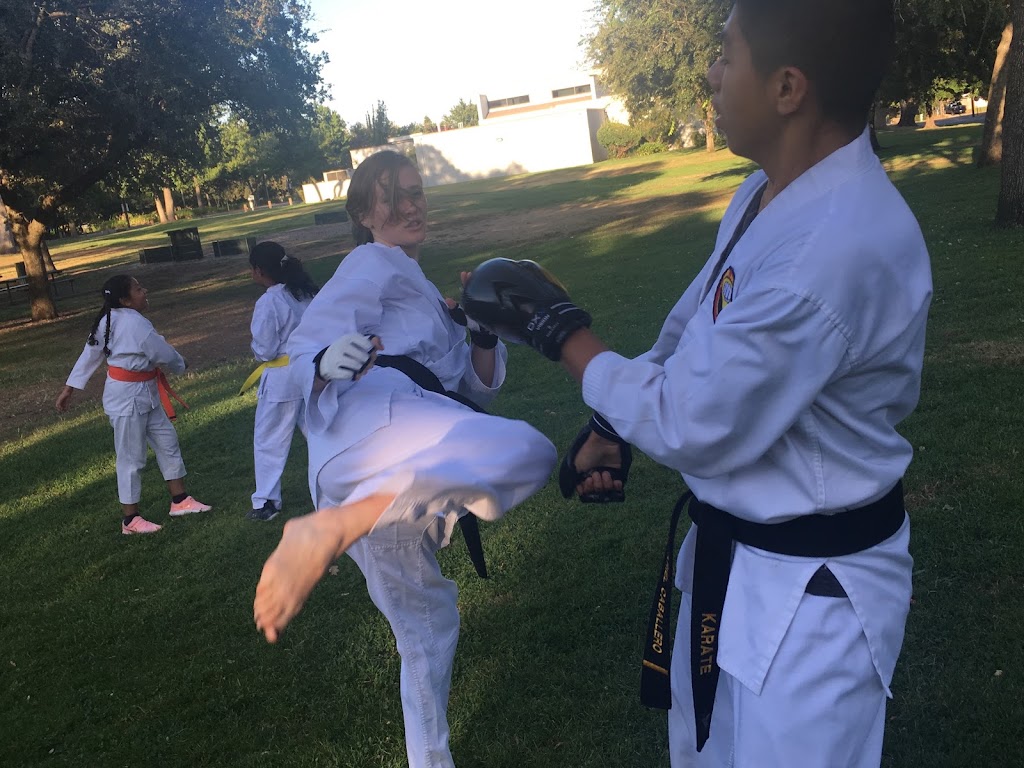 NV Martial Arts Academy | 4335 Hazel Ave, Fair Oaks, CA 95628, USA | Phone: (916) 871-6978