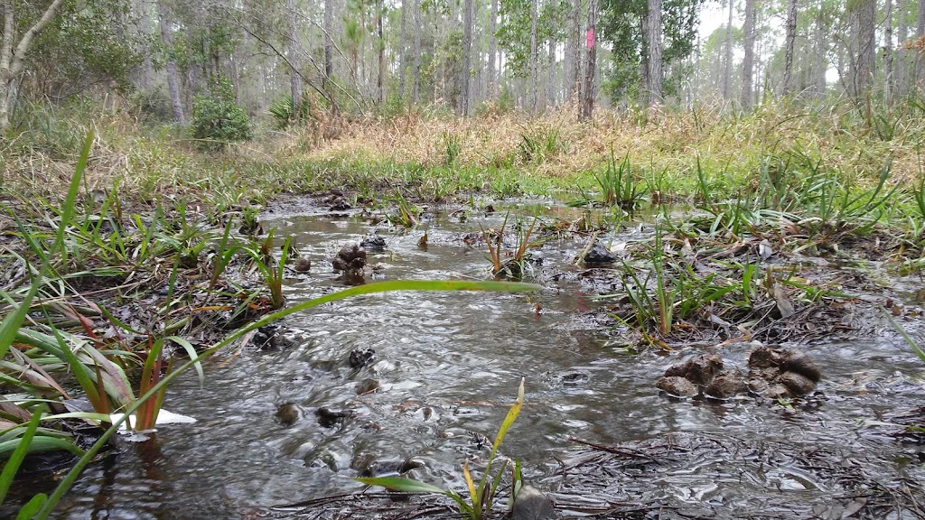 North Fork Black Creek Camp Zone | Middleburg, FL 32068, USA | Phone: (904) 406-6390