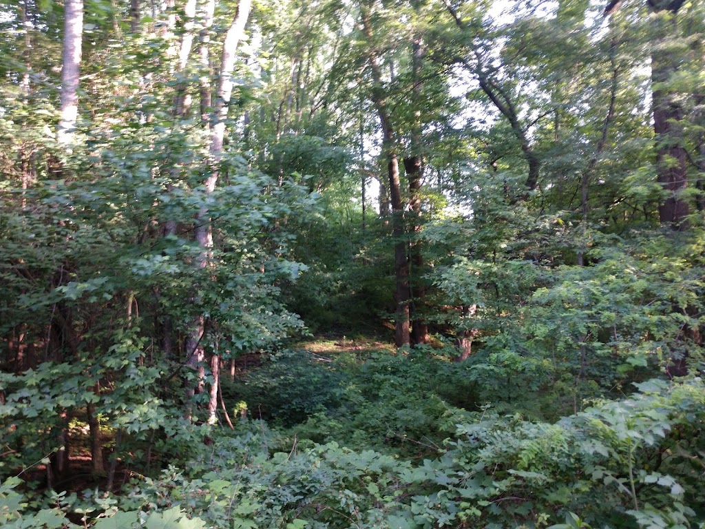 Summit MetroParks Freedom Trail Middlebury Lot | Tallmadge, OH 44278, USA | Phone: (330) 867-5511