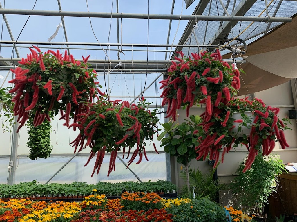 Feasels Garden Center | 2330 Bright Rd, Findlay, OH 45840, USA | Phone: (419) 423-4223