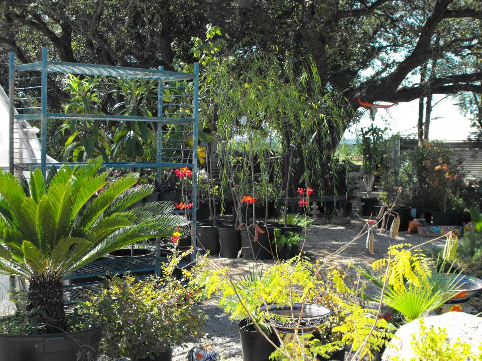 D&L Landscaping, Inc. - Garden Center | 3439 East Highway 29, Bertram, TX 78605 | Phone: (512) 260-1528