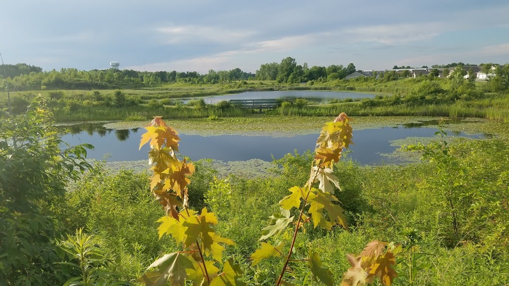 Delaware City Wetlands Park | Delaware, OH 43015, USA | Phone: (740) 203-1810