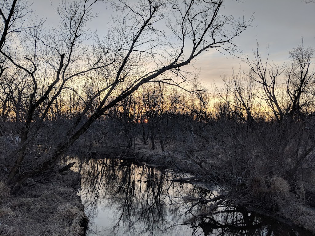 Cherokee Marsh State Natural Area | 4439 Buckley Rd, Madison, WI 53704, USA | Phone: (608) 266-2621