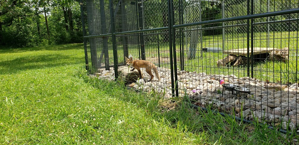 Second Chances Wildlife Center | 487 Gentry Ln, Mt Washington, KY 40047, USA | Phone: (502) 888-5470