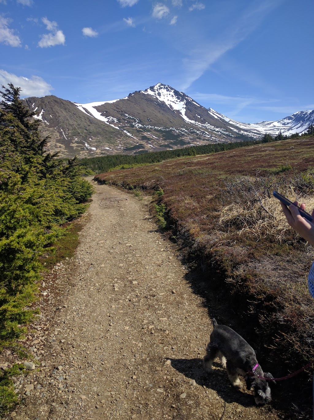 Glen Alps Trailhead On-duty Ranger | 13101 Glen Alps Rd, Anchorage, AK 99516, USA | Phone: (907) 269-8400