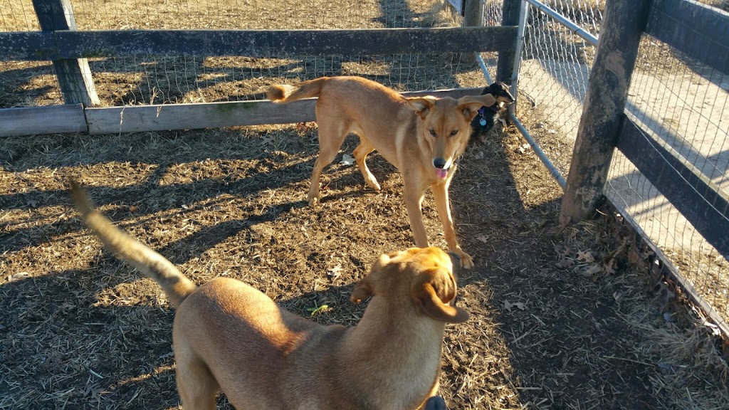 Coldstream Dog Park | 1850 Pisacano Dr, Lexington, KY 40511, USA | Phone: (859) 288-2900