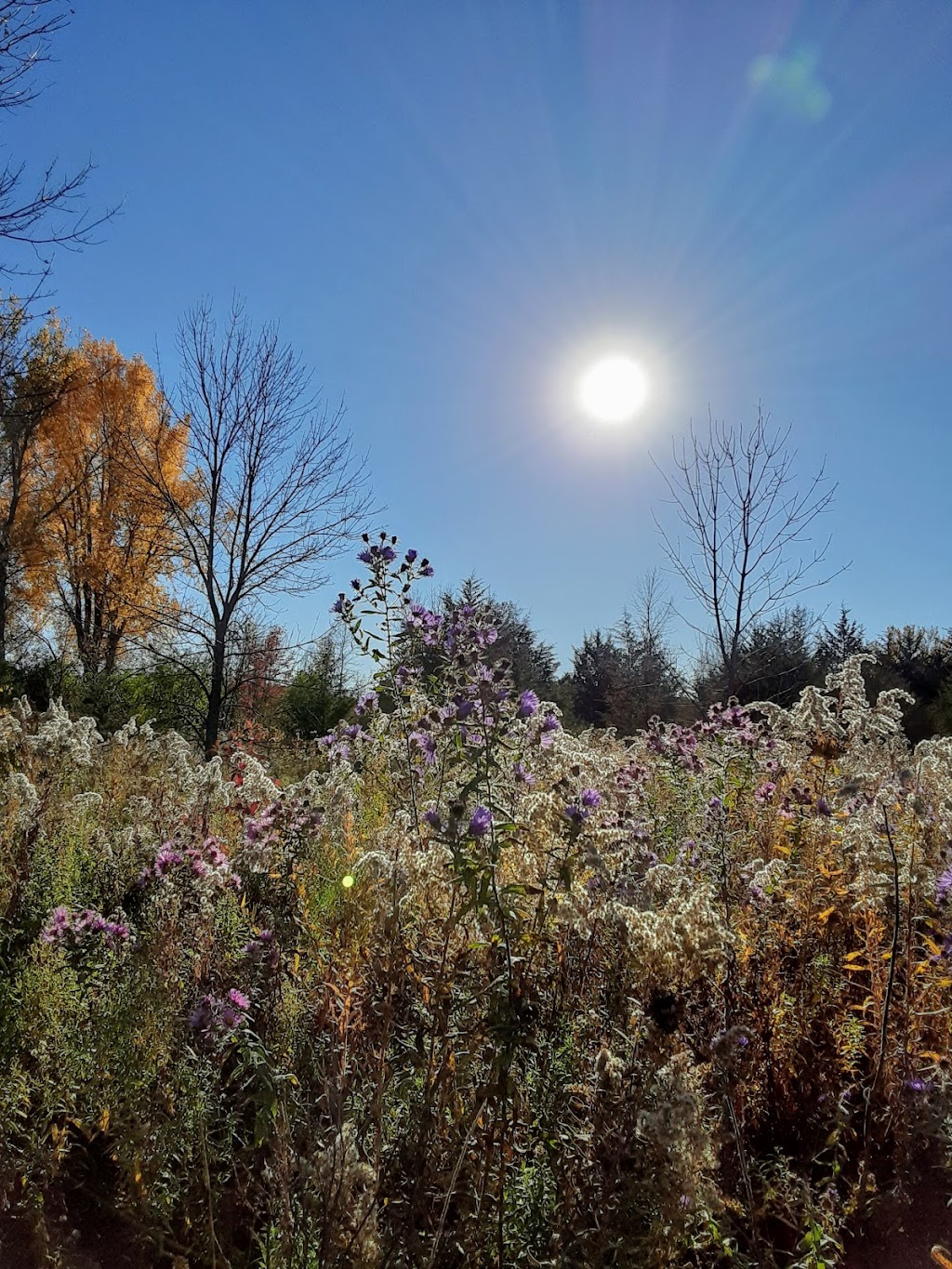 Lake Sarah Regional Park | Rockford, MN 55373, USA | Phone: (815) 987-8800