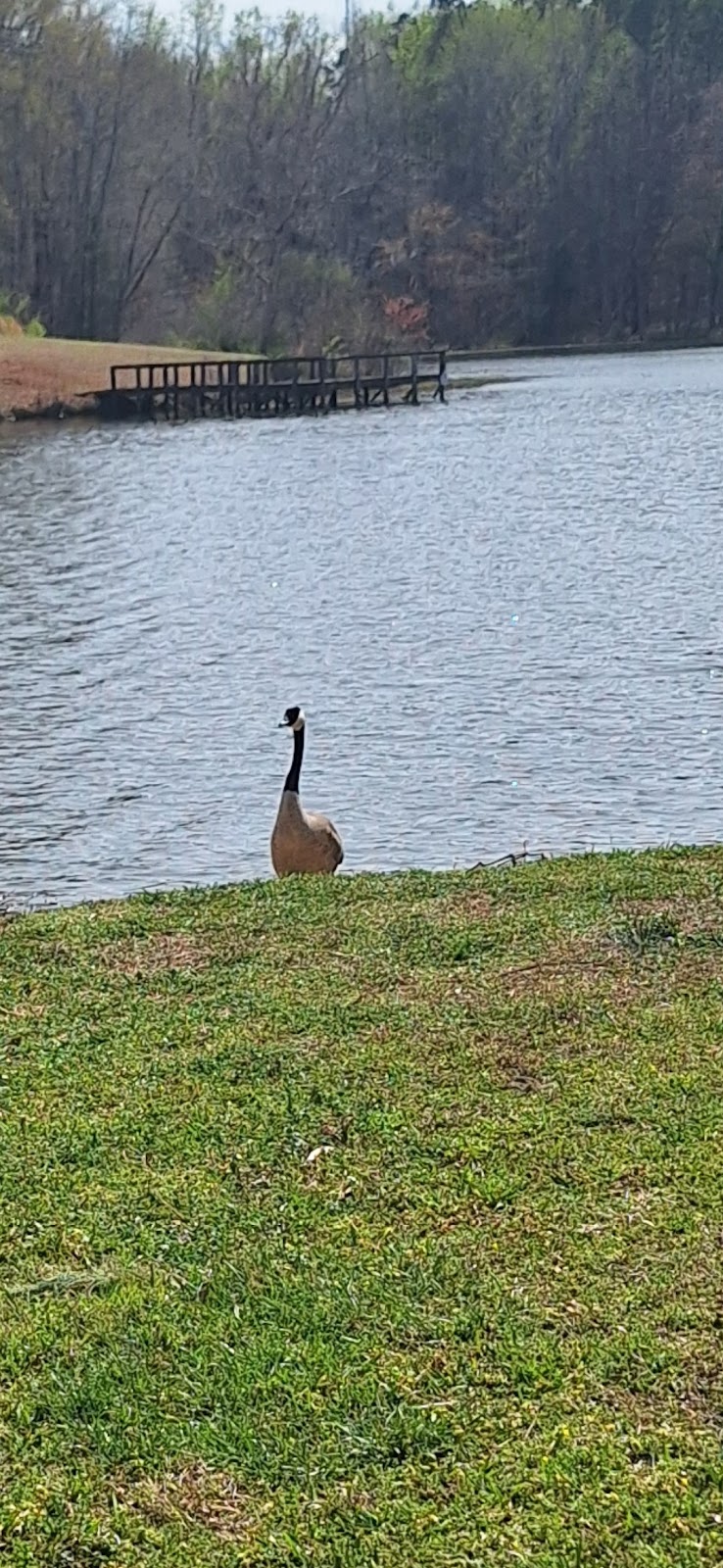 City Lake Park | 815 Concord Rd, Albemarle, NC 28001, USA | Phone: (704) 984-9560