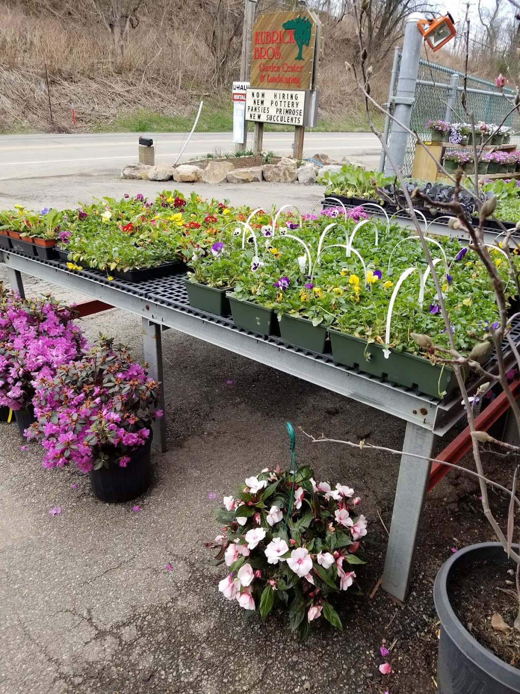 Kubrick Brothers Garden Center | 329 Coxcomb Hill Rd, New Kensington, PA 15068, USA | Phone: (724) 339-8330