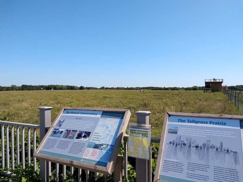 Belwin Conservancy: Bison Observation Platform | 15551 Division St, Afton, MN 55001, USA | Phone: (651) 436-5189