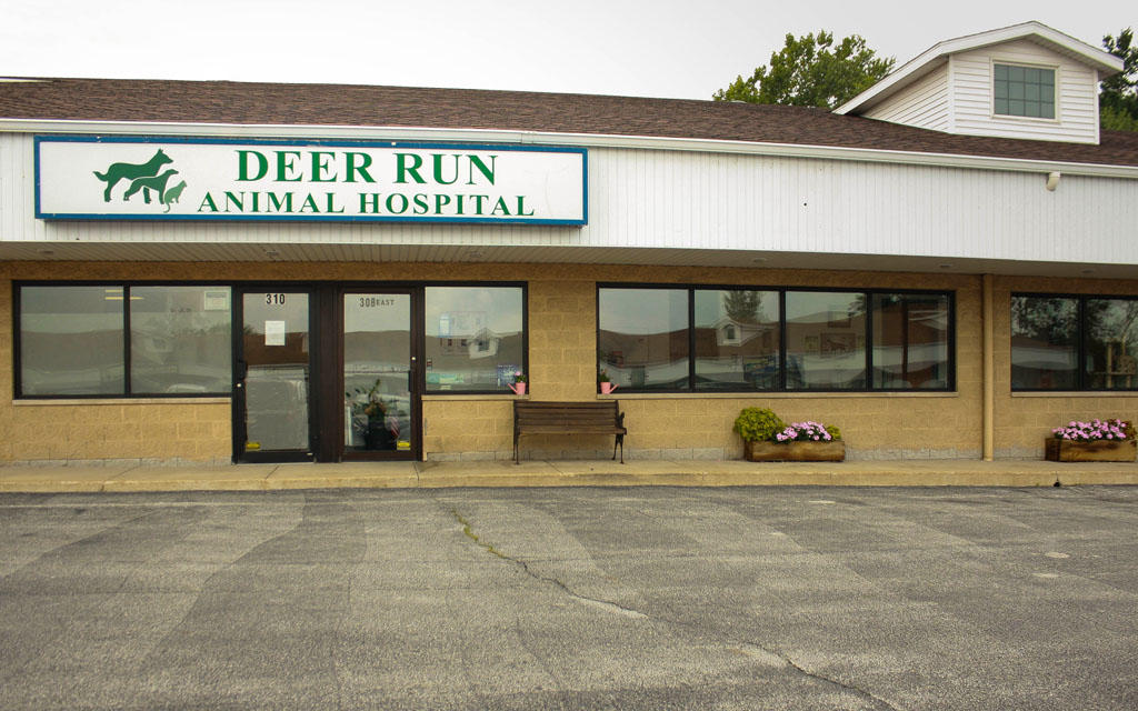 Deer Run Animal Hospital | 308 US-30, Schererville, IN 46375, USA | Phone: (219) 864-7180