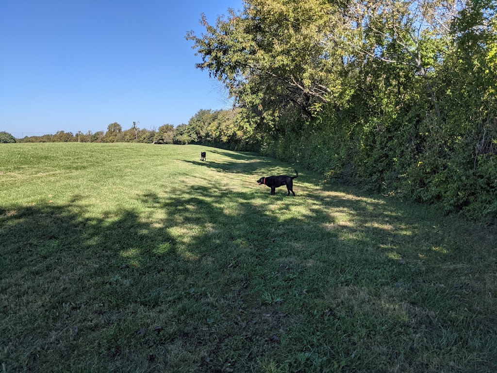 Coldstream Dog Park | 1850 Pisacano Dr, Lexington, KY 40511, USA | Phone: (859) 288-2900